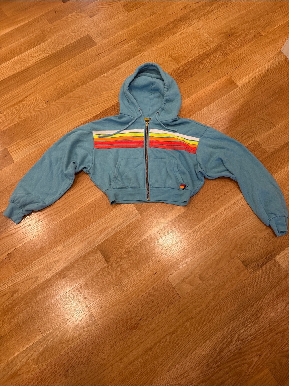 Aviator Nation Five Striped Cropped Relaxed Hoodie in Aqua
